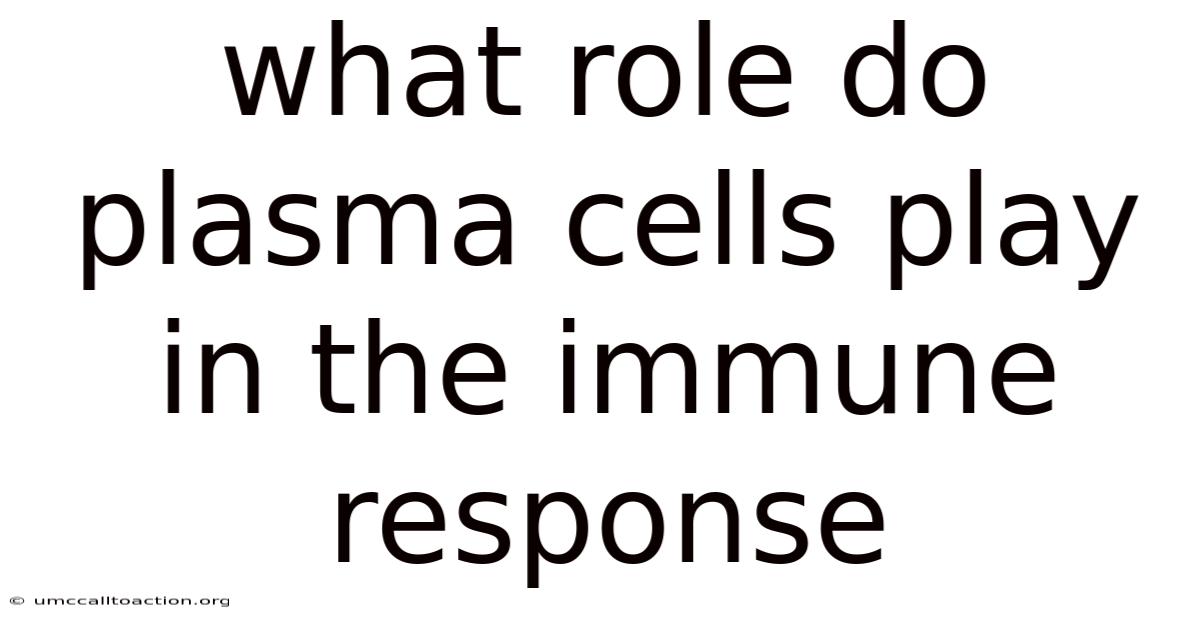 What Role Do Plasma Cells Play In The Immune Response