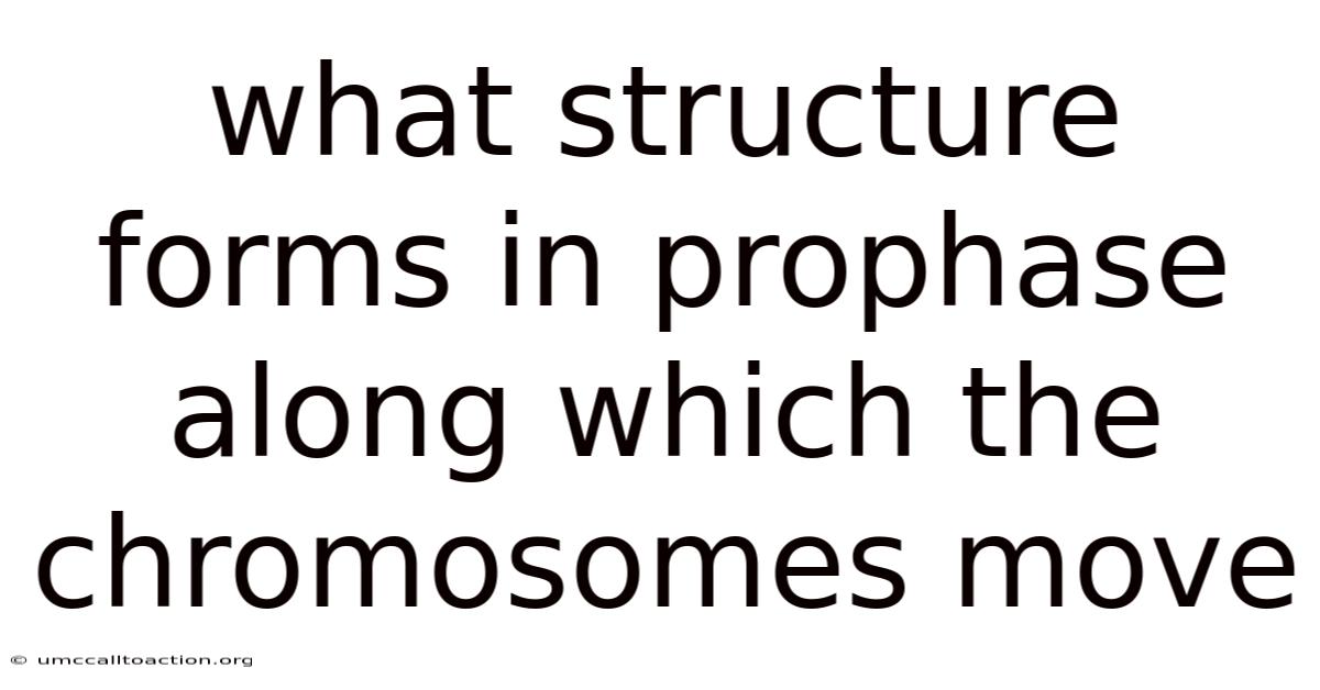 What Structure Forms In Prophase Along Which The Chromosomes Move