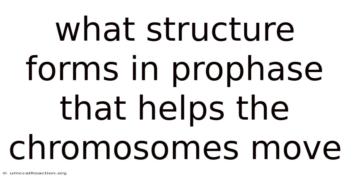 What Structure Forms In Prophase That Helps The Chromosomes Move