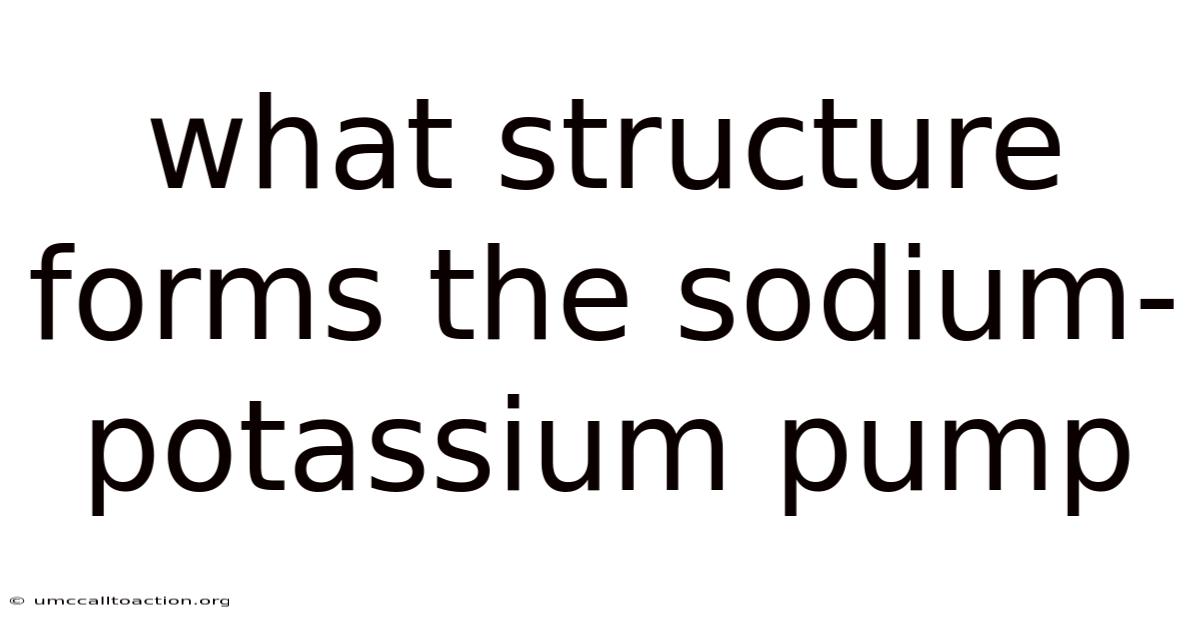 What Structure Forms The Sodium-potassium Pump