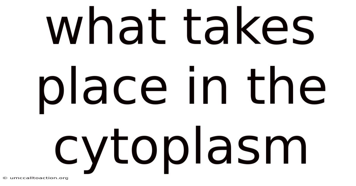What Takes Place In The Cytoplasm