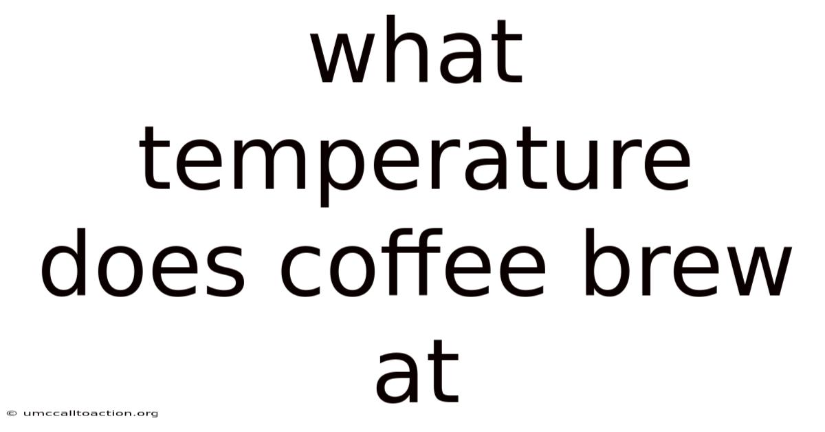 What Temperature Does Coffee Brew At