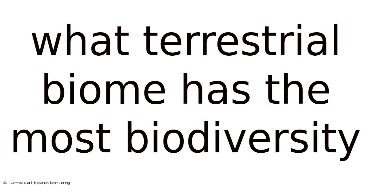 What Terrestrial Biome Has The Most Biodiversity