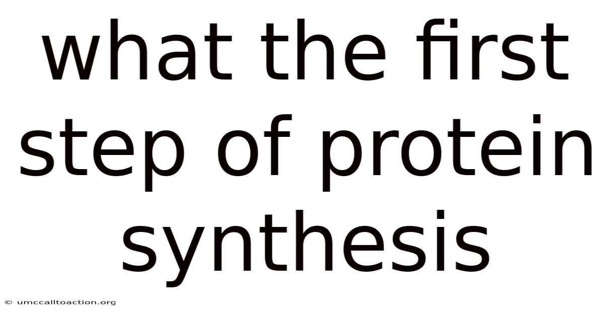 What The First Step Of Protein Synthesis