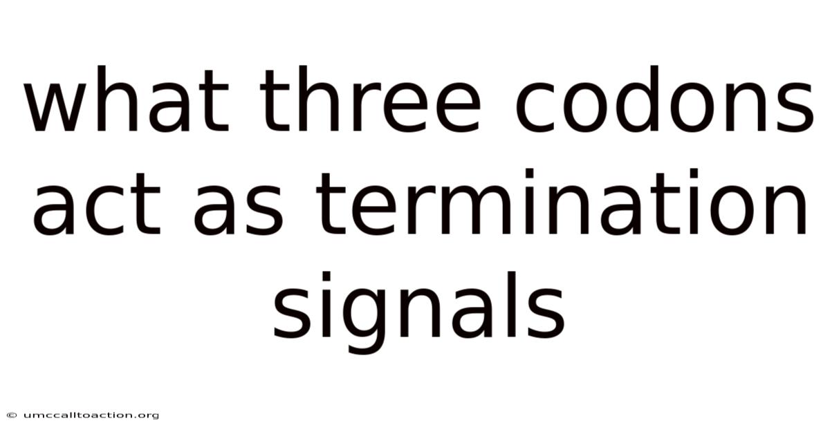 What Three Codons Act As Termination Signals