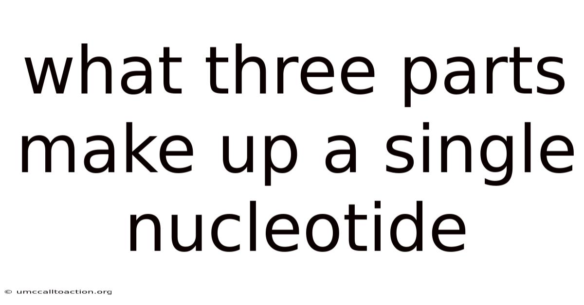 What Three Parts Make Up A Single Nucleotide