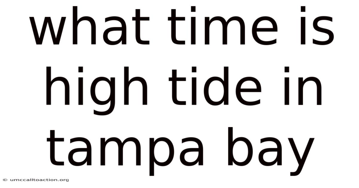 What Time Is High Tide In Tampa Bay