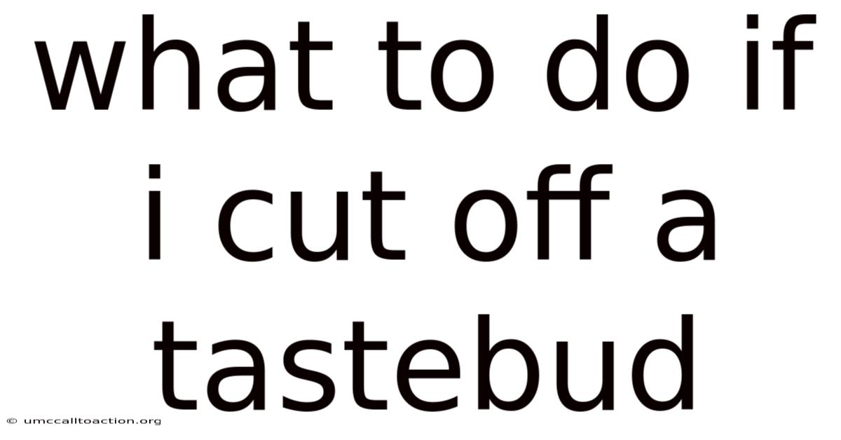 What To Do If I Cut Off A Tastebud