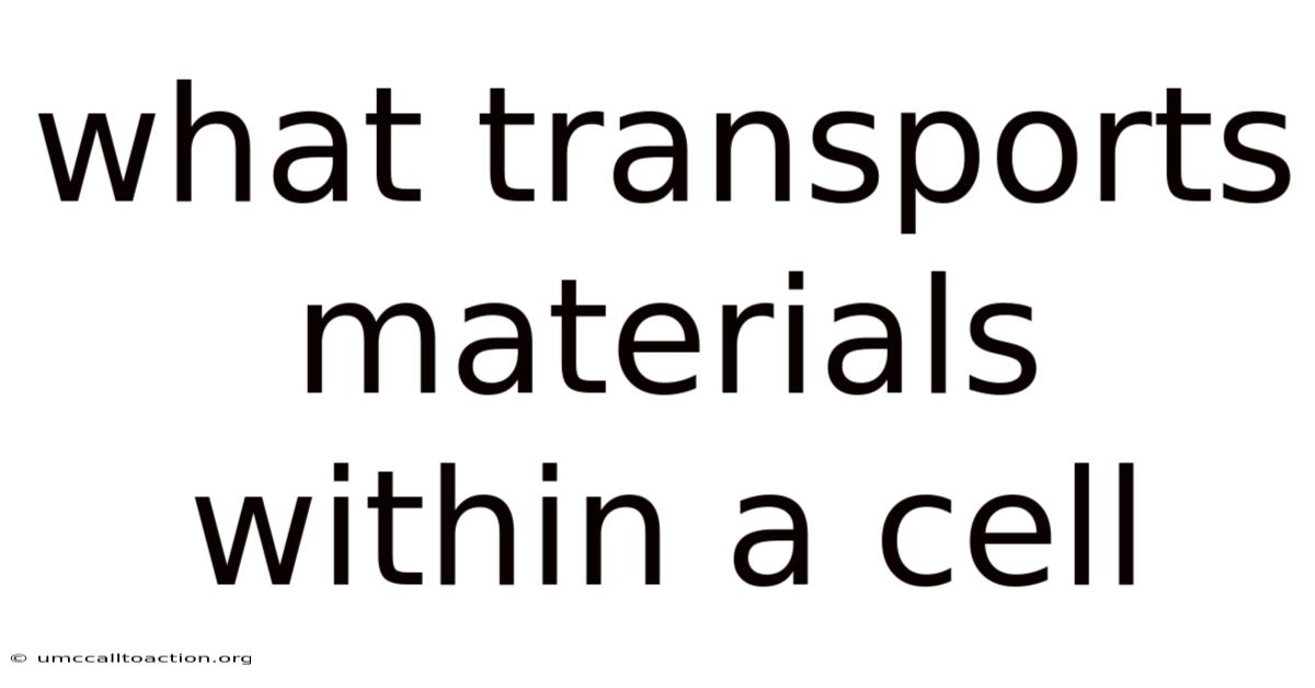What Transports Materials Within A Cell
