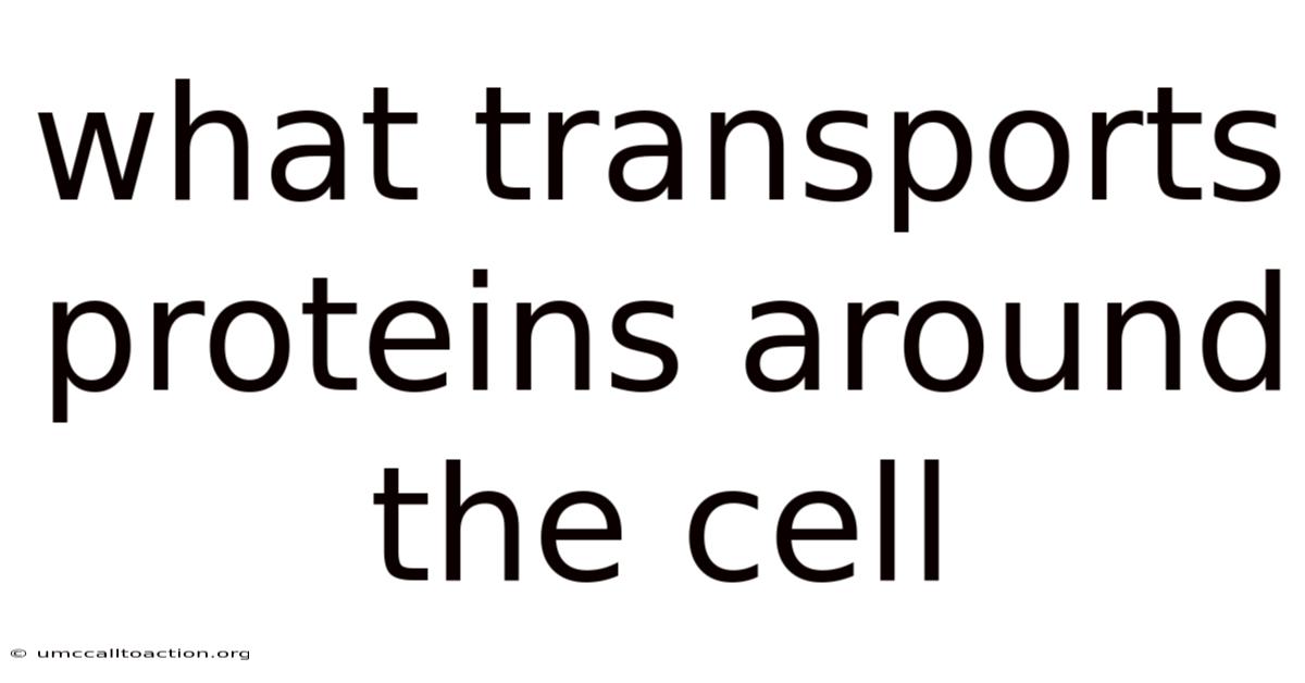 What Transports Proteins Around The Cell