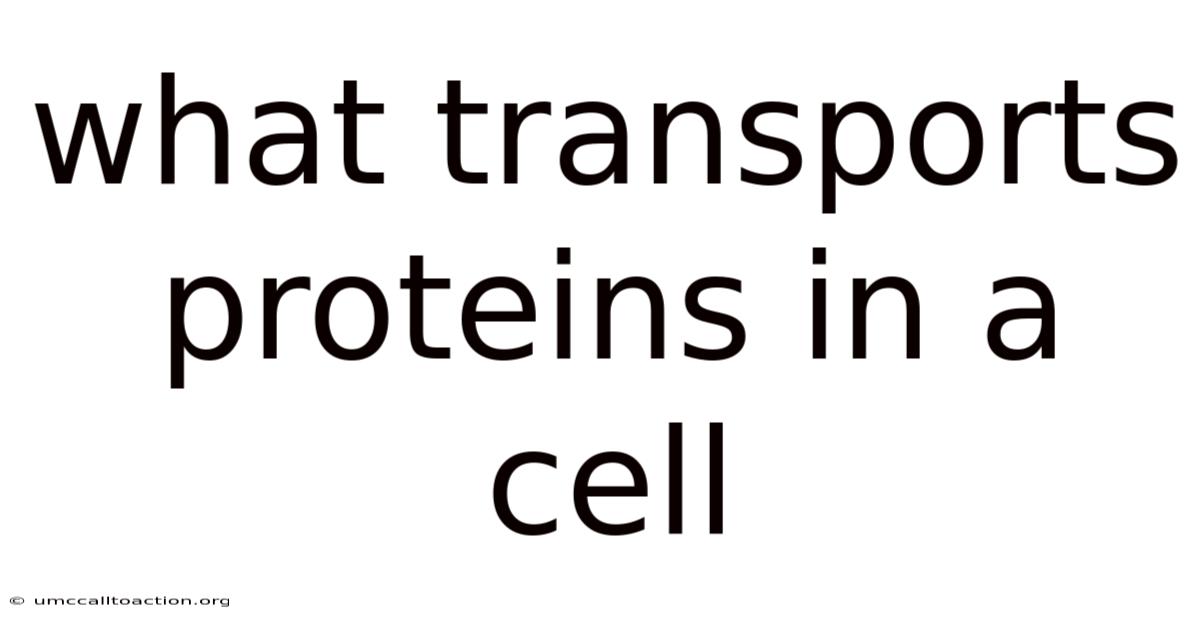 What Transports Proteins In A Cell