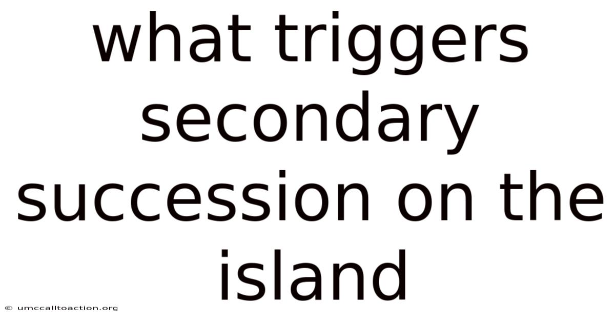 What Triggers Secondary Succession On The Island
