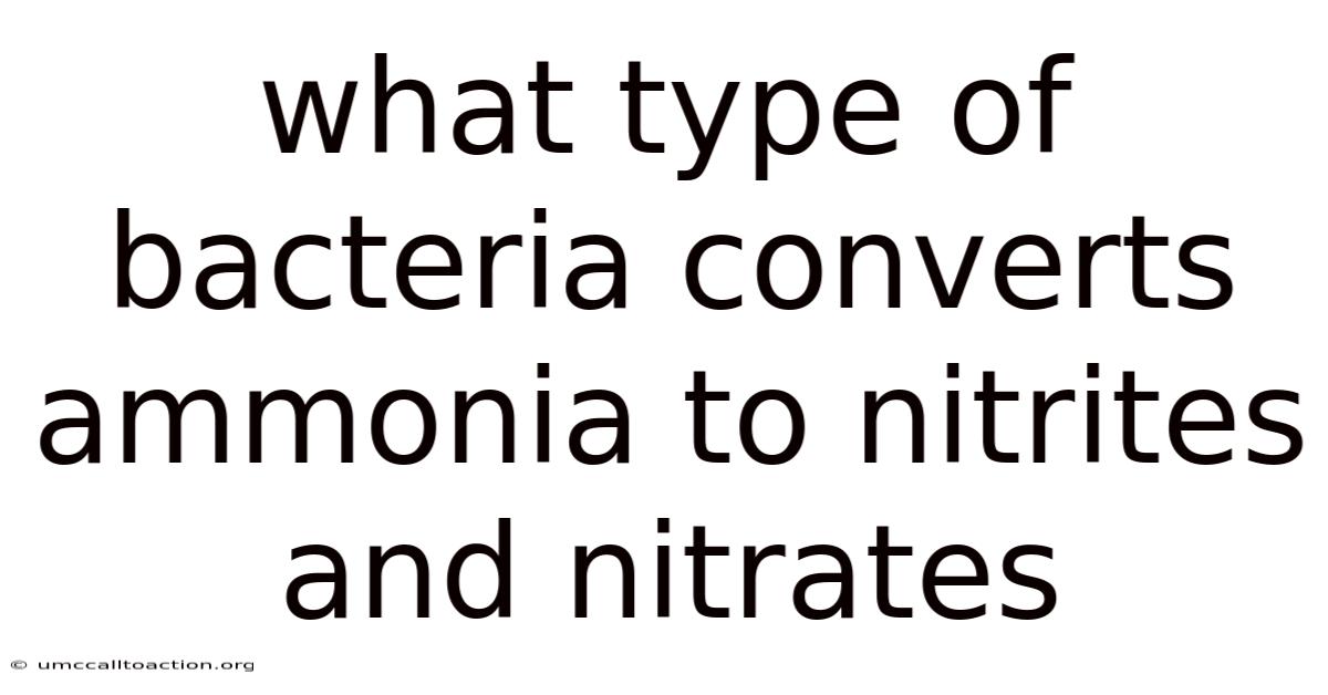 What Type Of Bacteria Converts Ammonia To Nitrites And Nitrates