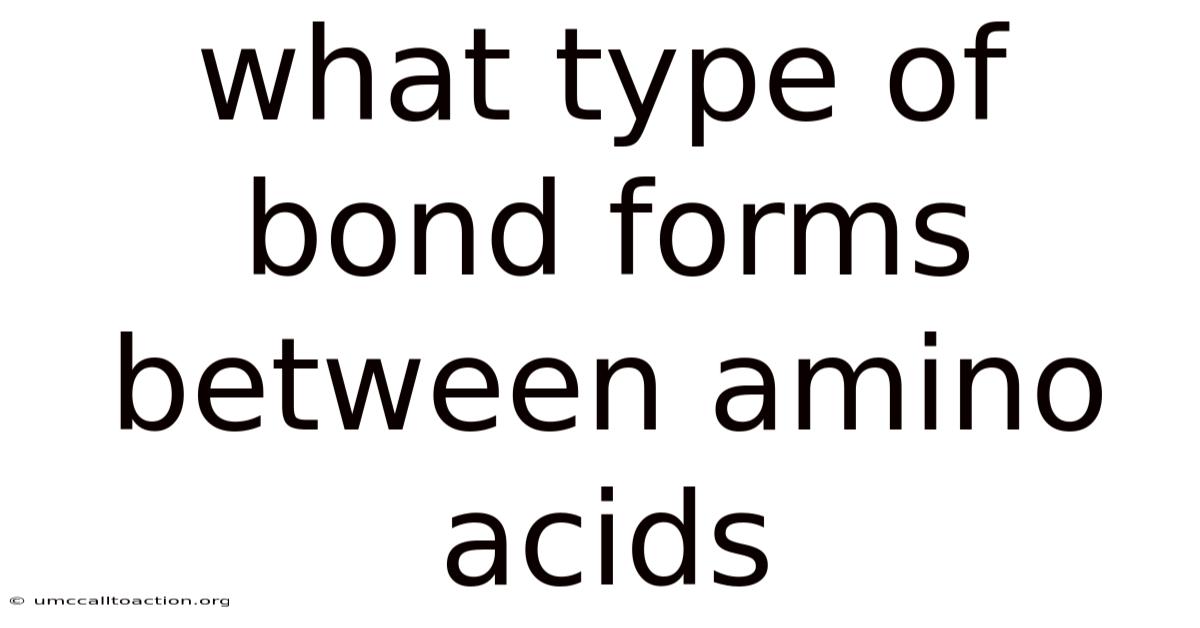 What Type Of Bond Forms Between Amino Acids
