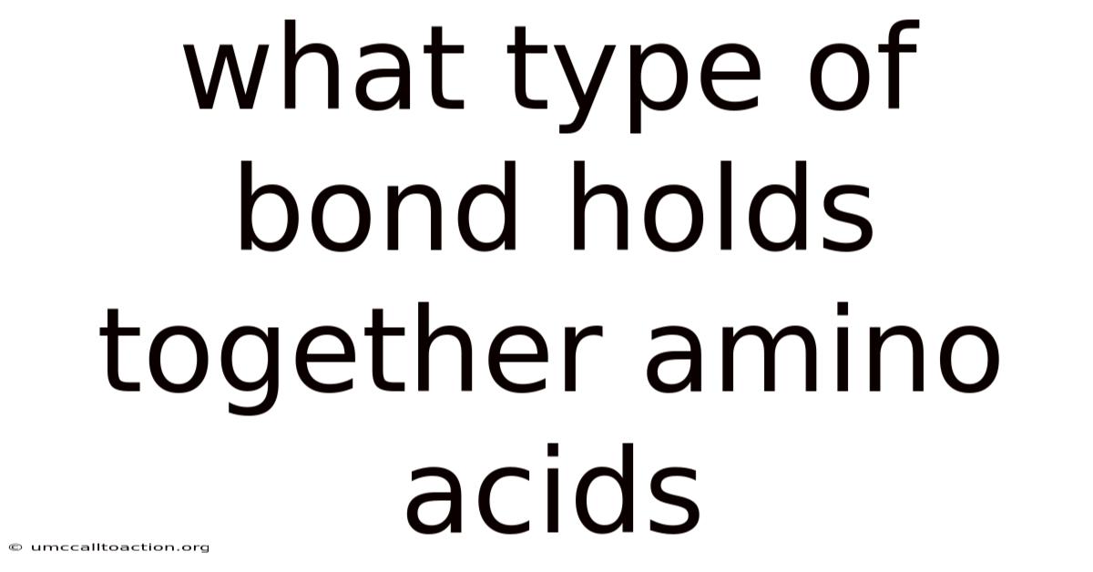 What Type Of Bond Holds Together Amino Acids