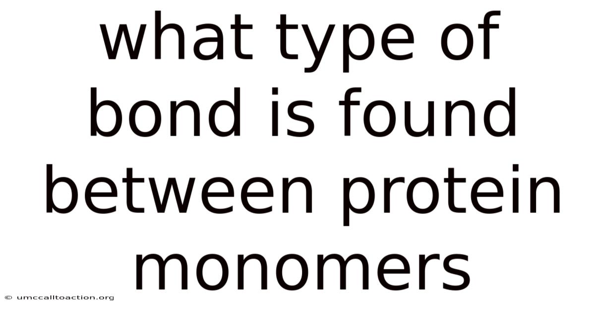 What Type Of Bond Is Found Between Protein Monomers