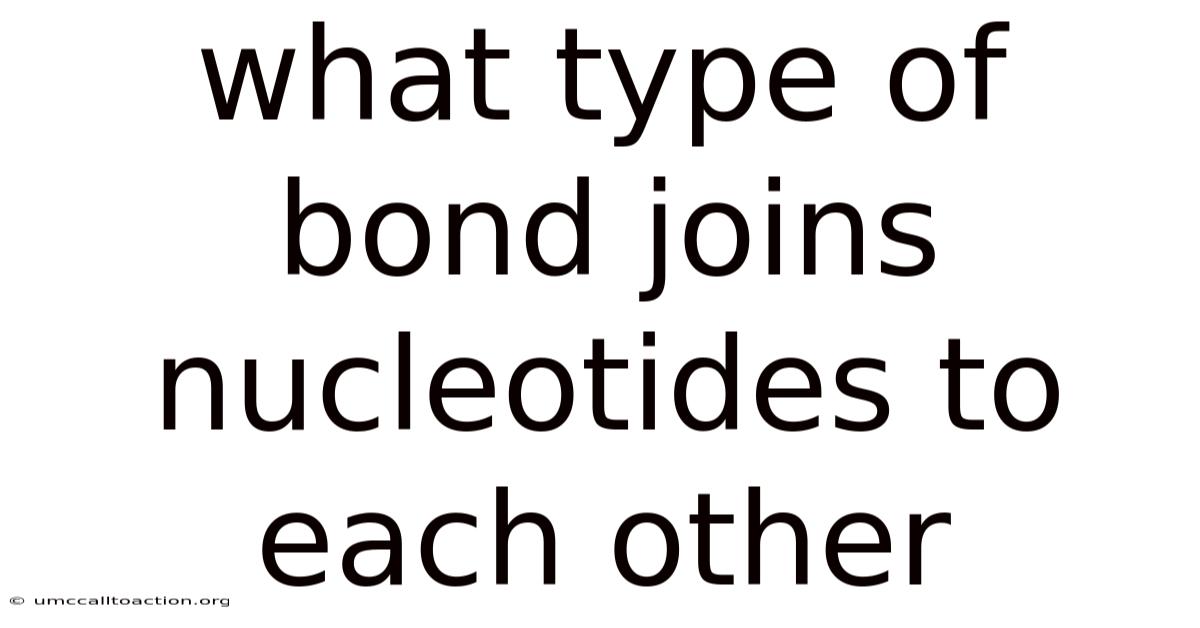 What Type Of Bond Joins Nucleotides To Each Other