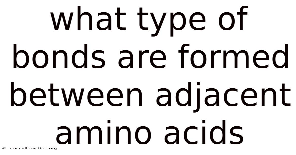 What Type Of Bonds Are Formed Between Adjacent Amino Acids
