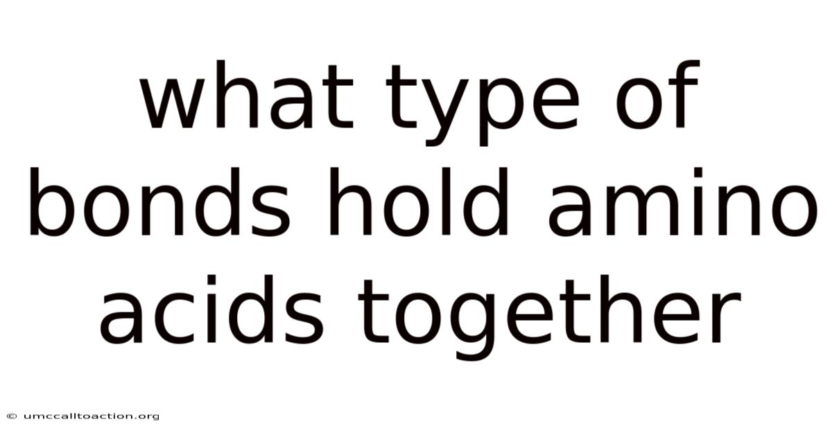 What Type Of Bonds Hold Amino Acids Together