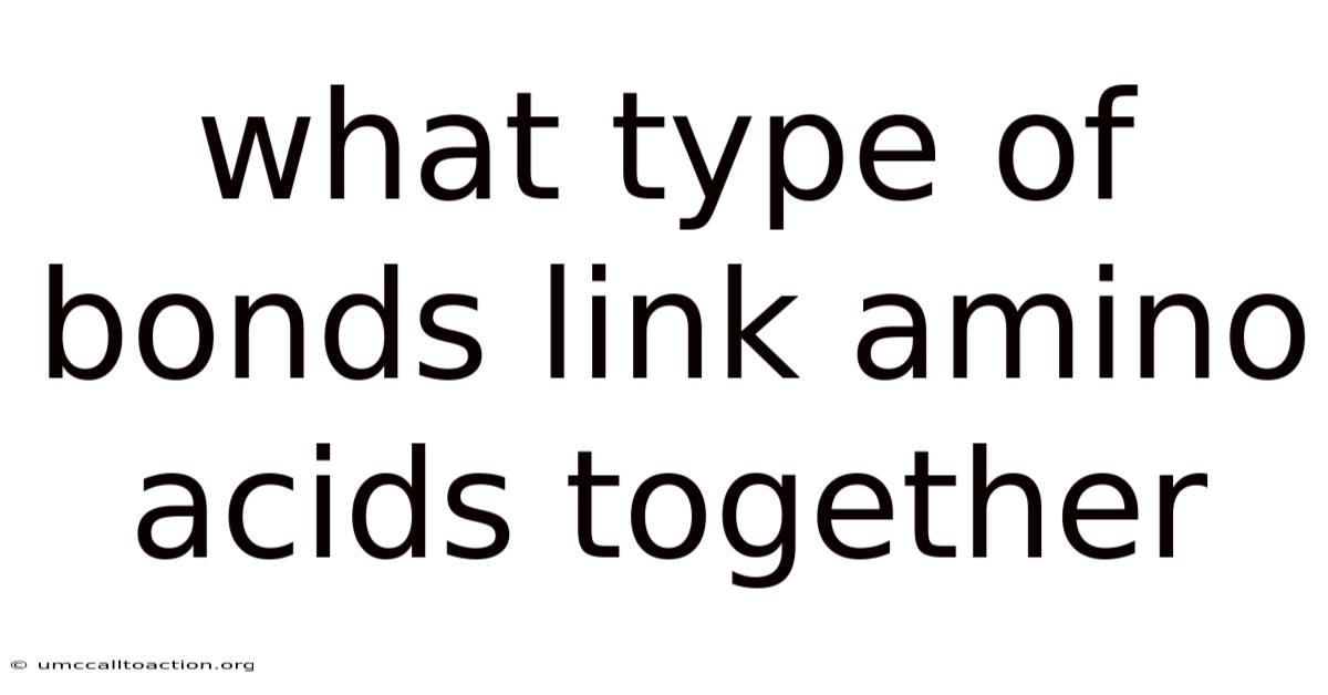 What Type Of Bonds Link Amino Acids Together