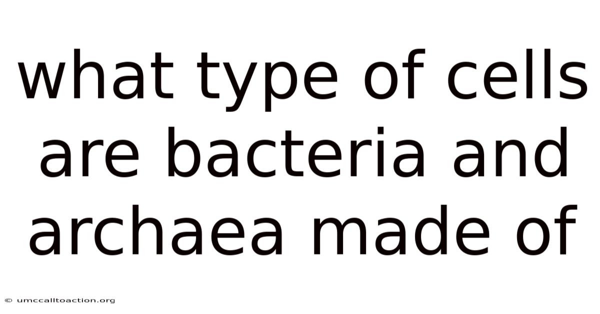What Type Of Cells Are Bacteria And Archaea Made Of