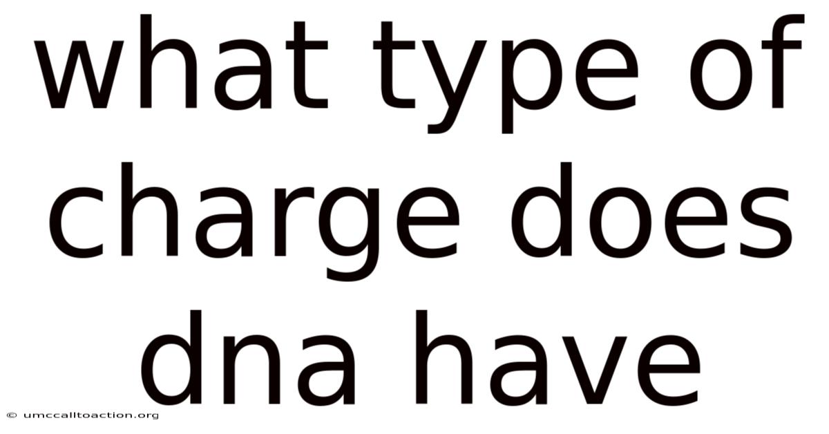 What Type Of Charge Does Dna Have