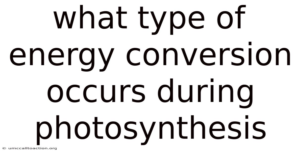 What Type Of Energy Conversion Occurs During Photosynthesis