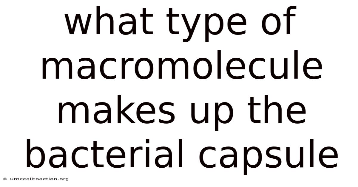 What Type Of Macromolecule Makes Up The Bacterial Capsule