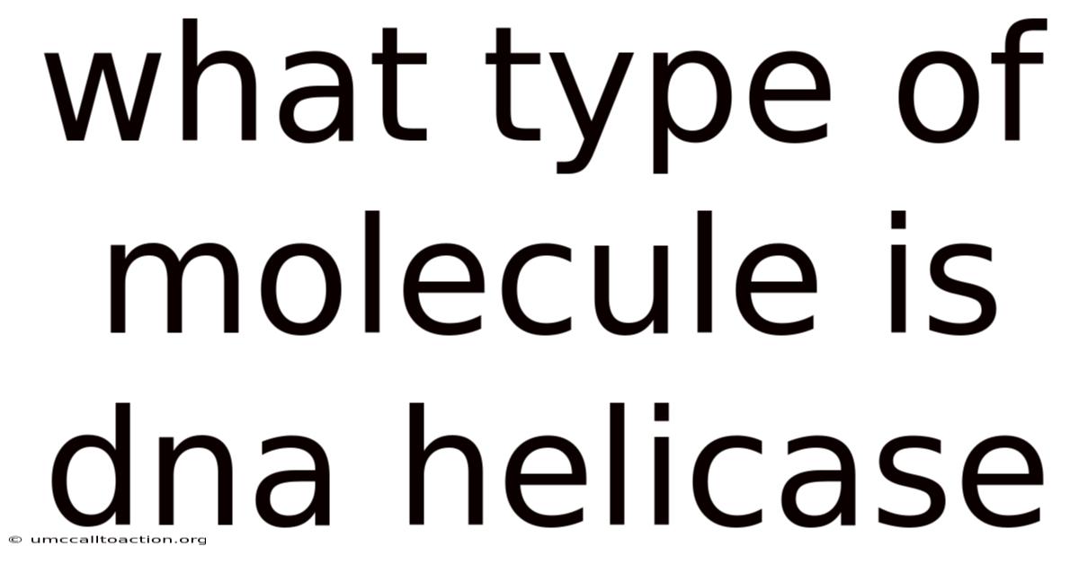 What Type Of Molecule Is Dna Helicase