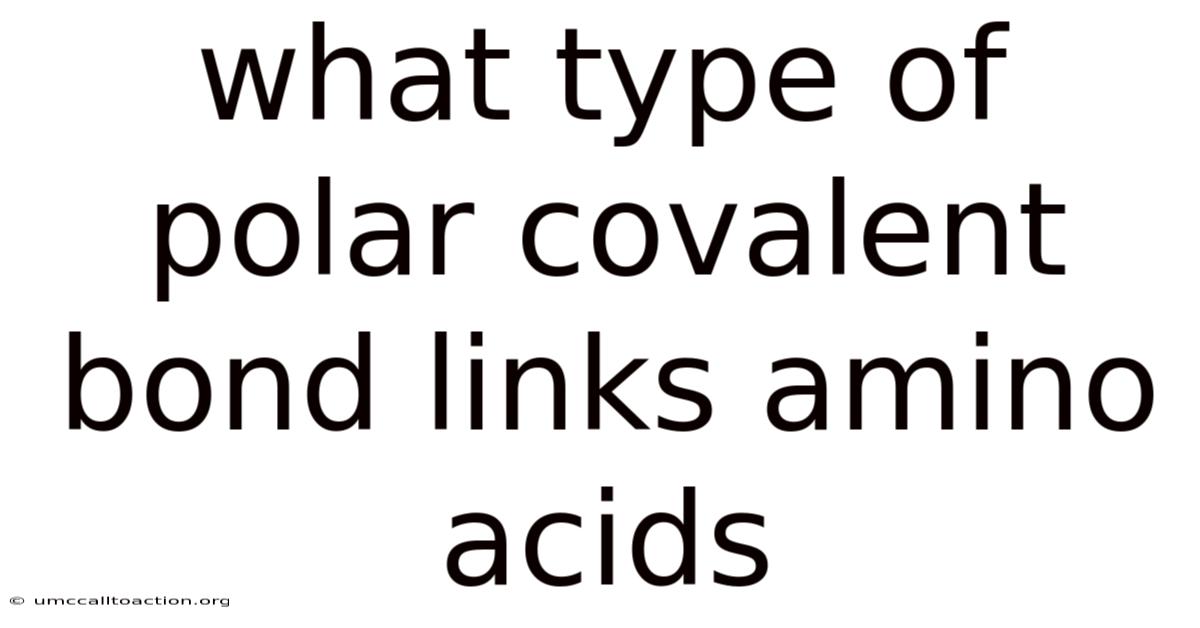 What Type Of Polar Covalent Bond Links Amino Acids