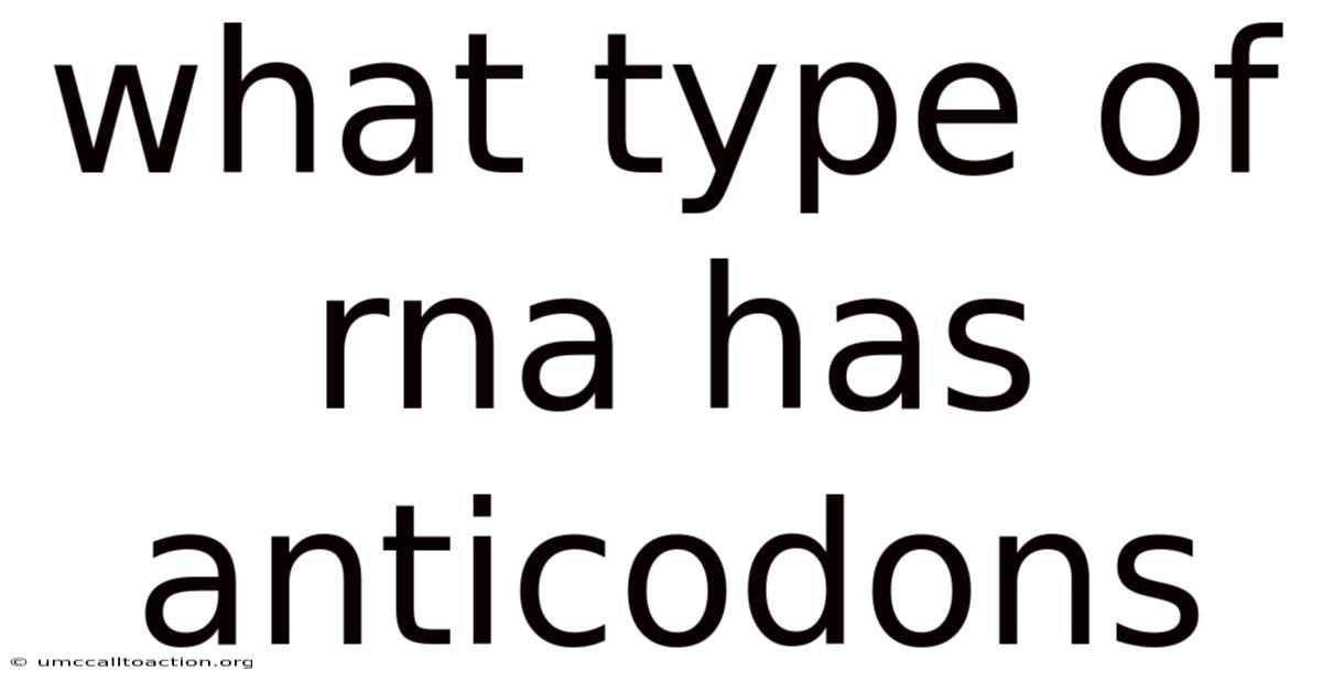 What Type Of Rna Has Anticodons