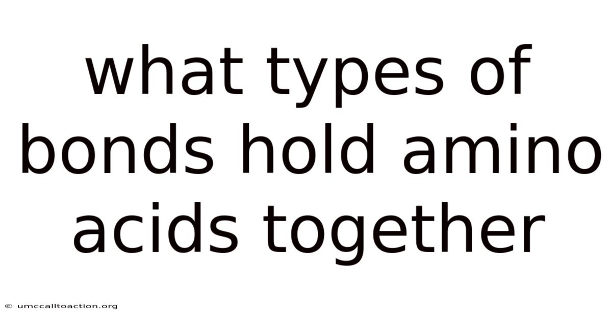 What Types Of Bonds Hold Amino Acids Together