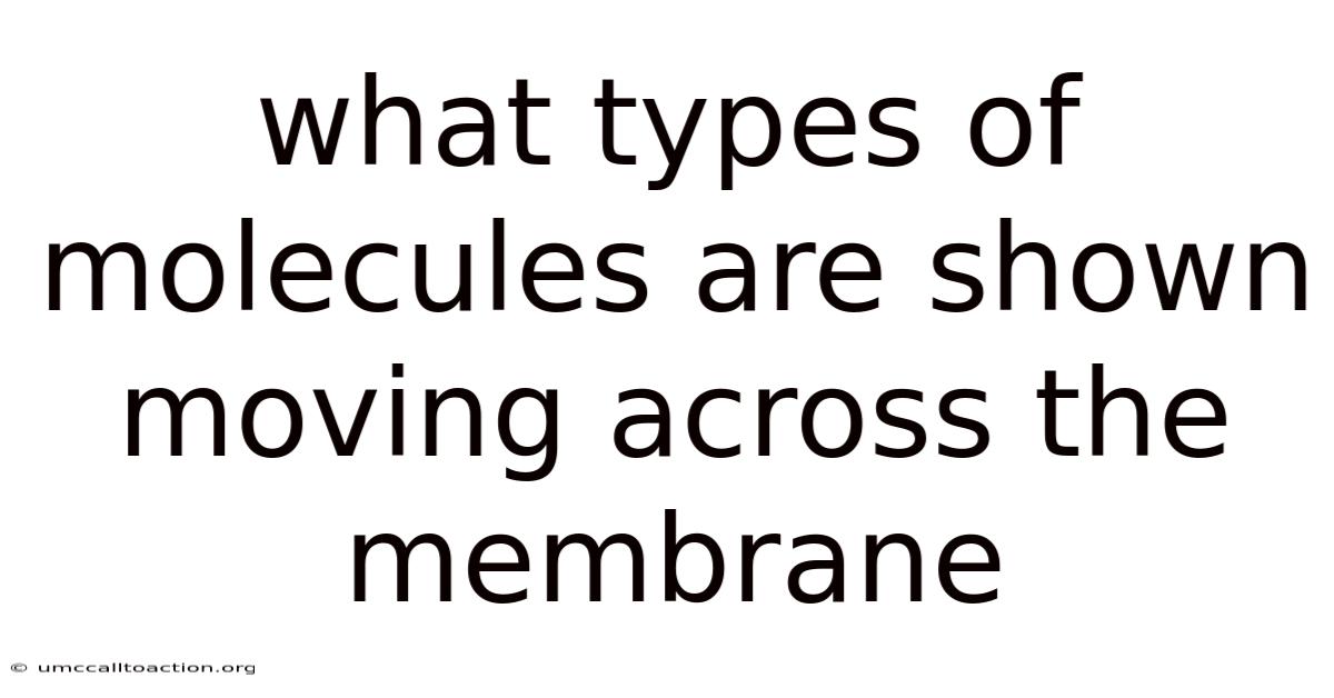 What Types Of Molecules Are Shown Moving Across The Membrane