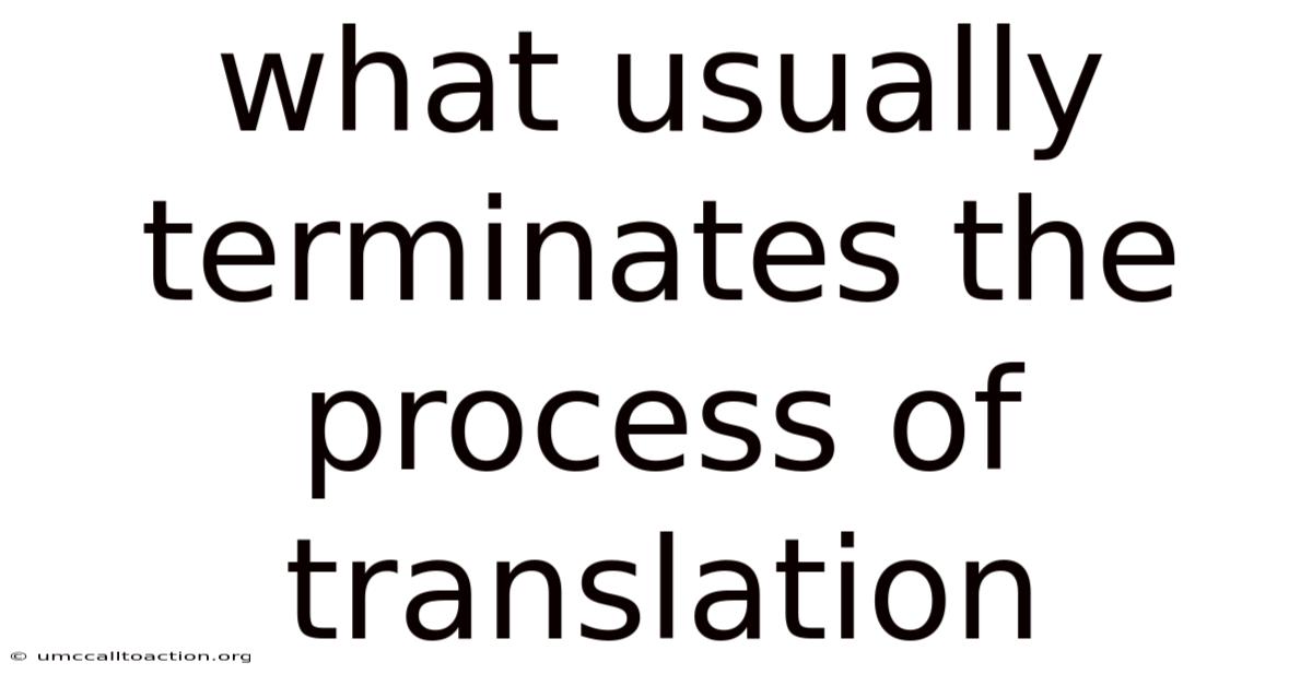 What Usually Terminates The Process Of Translation