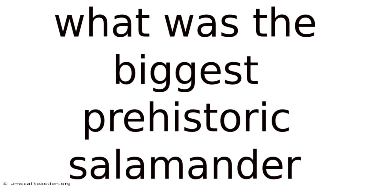 What Was The Biggest Prehistoric Salamander