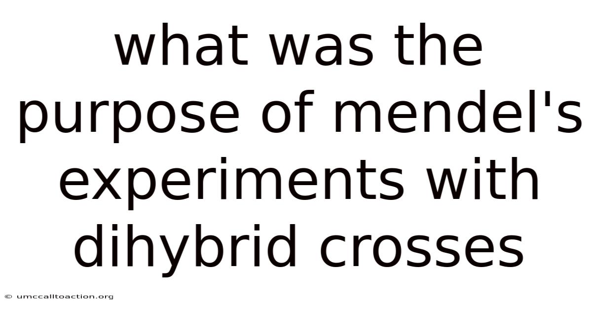 What Was The Purpose Of Mendel's Experiments With Dihybrid Crosses