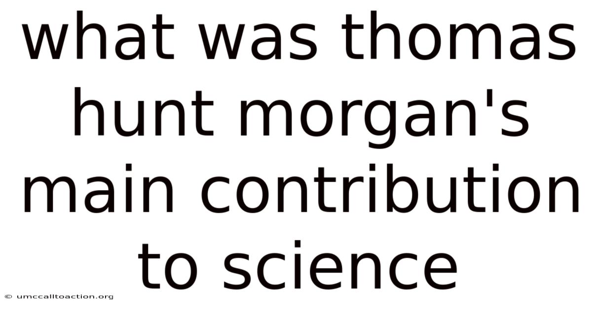 What Was Thomas Hunt Morgan's Main Contribution To Science