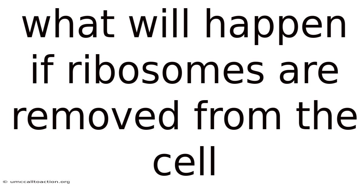 What Will Happen If Ribosomes Are Removed From The Cell