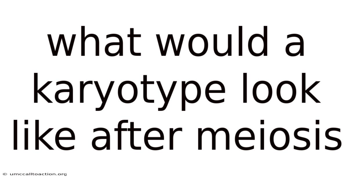 What Would A Karyotype Look Like After Meiosis