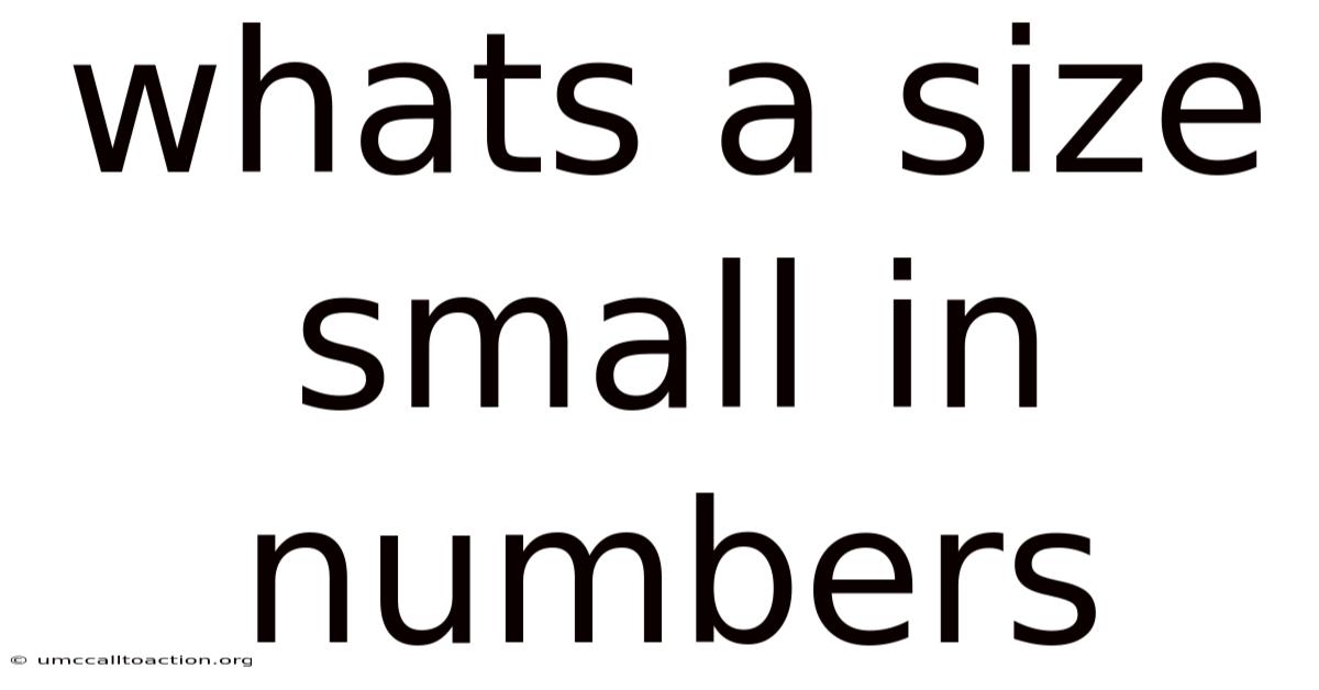 Whats A Size Small In Numbers