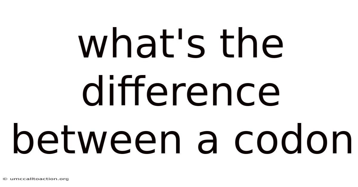 What's The Difference Between A Codon