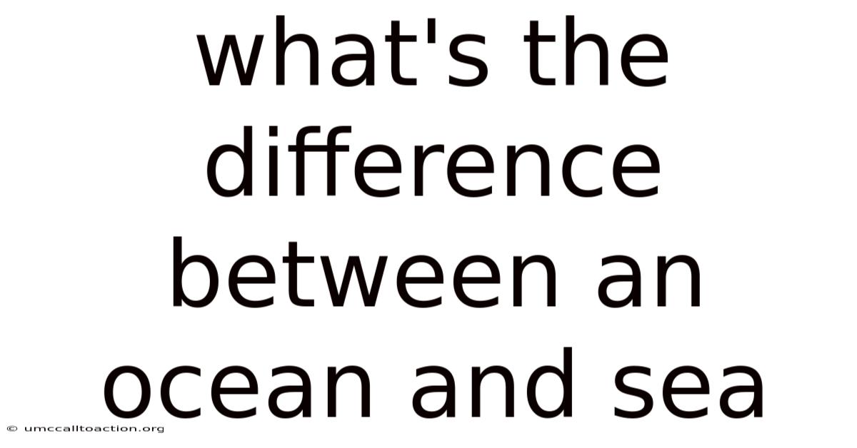 What's The Difference Between An Ocean And Sea