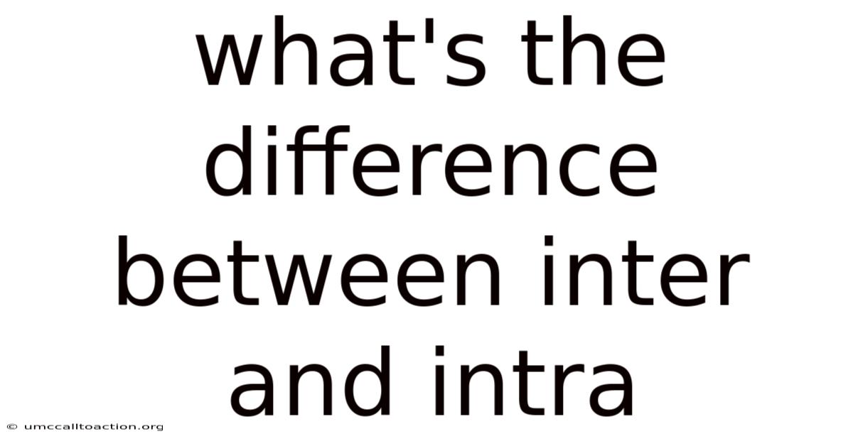 What's The Difference Between Inter And Intra