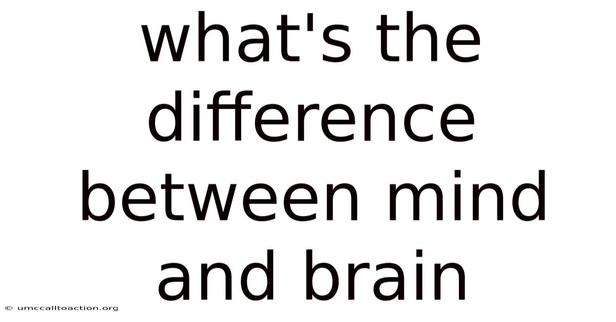 What's The Difference Between Mind And Brain
