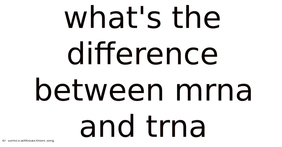 What's The Difference Between Mrna And Trna