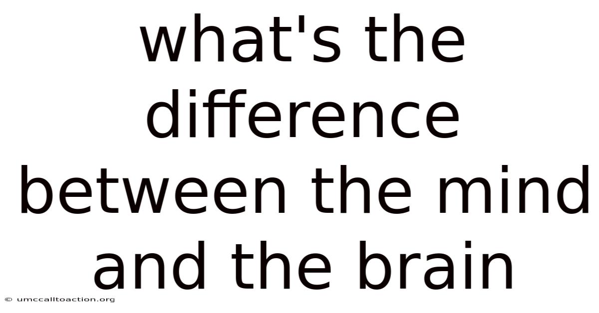 What's The Difference Between The Mind And The Brain
