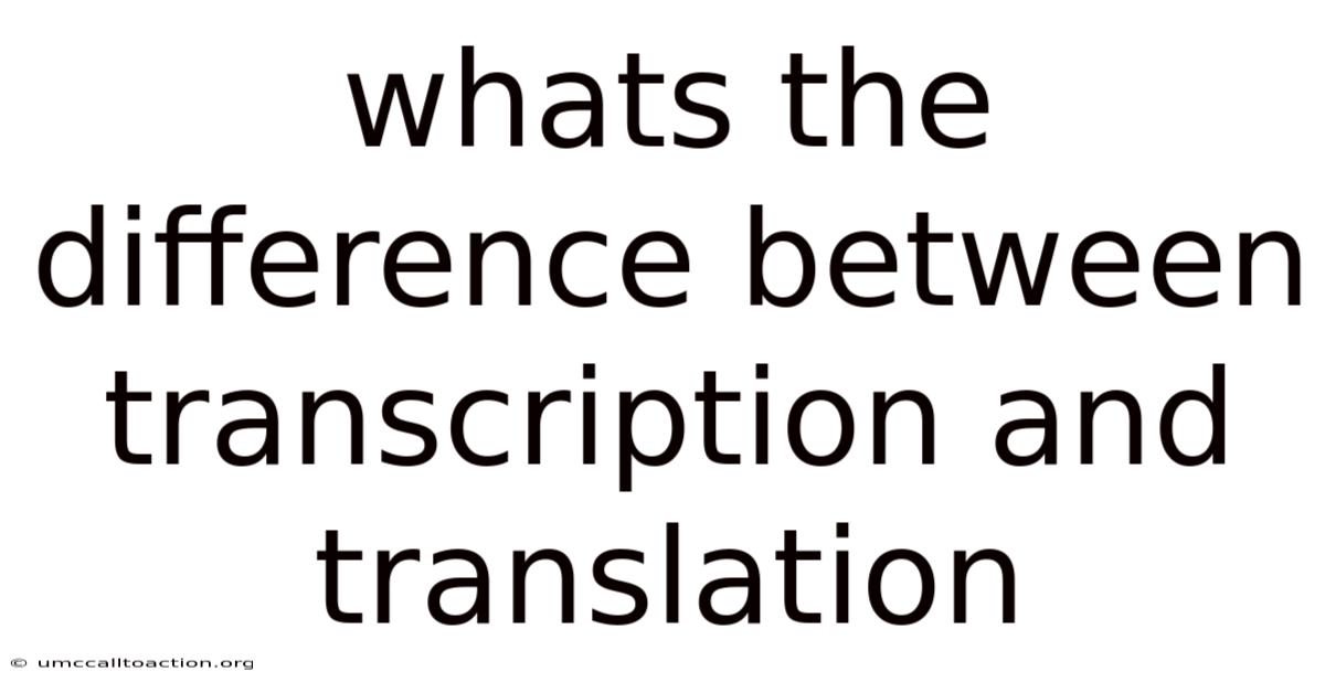 Whats The Difference Between Transcription And Translation