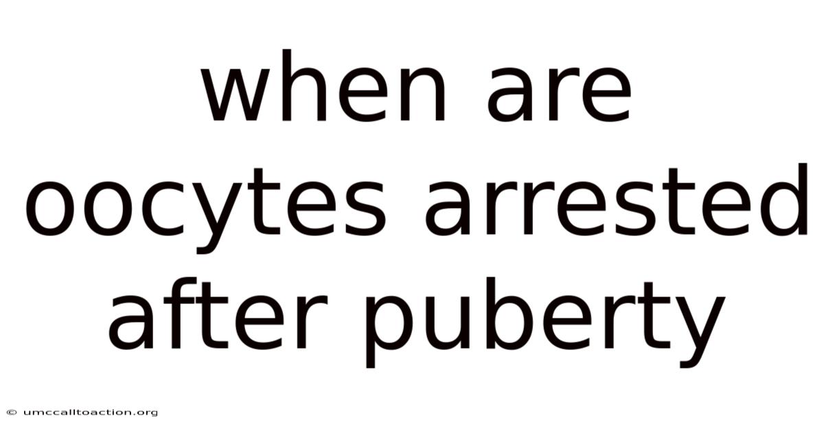 When Are Oocytes Arrested After Puberty