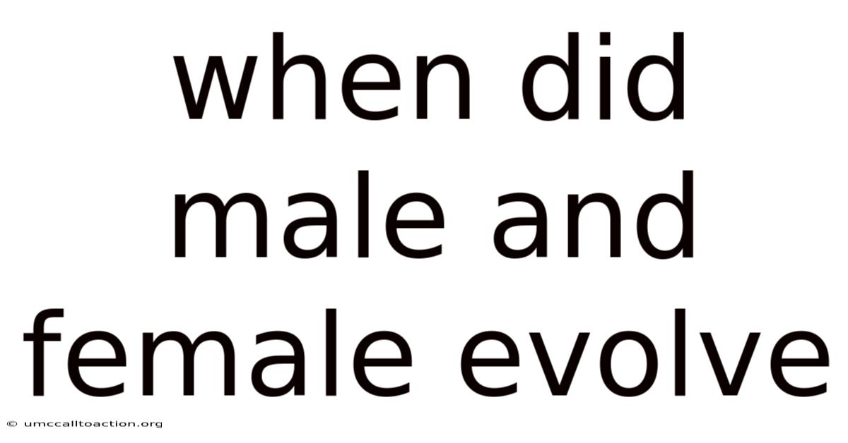 When Did Male And Female Evolve