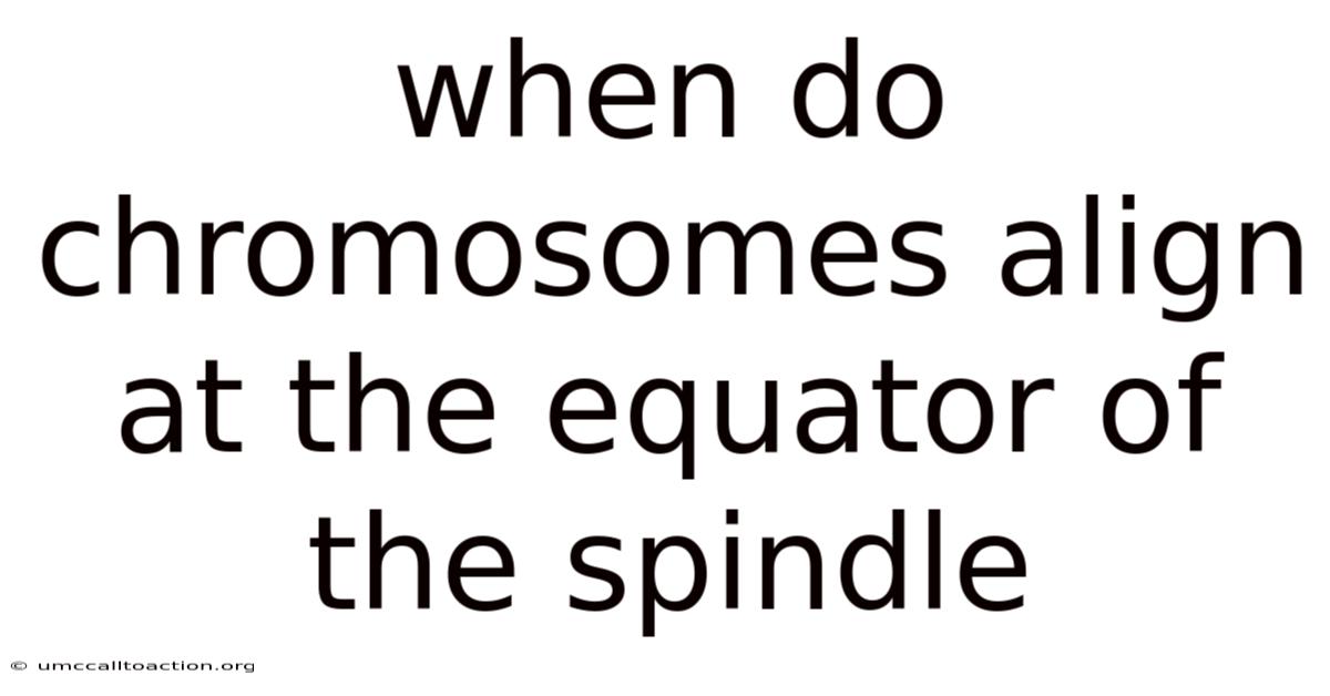 When Do Chromosomes Align At The Equator Of The Spindle